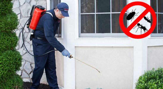 Horasan Karınca İlaçlama böcek ilaçlama ve haşere kontrolü — ilaclama-tr.com